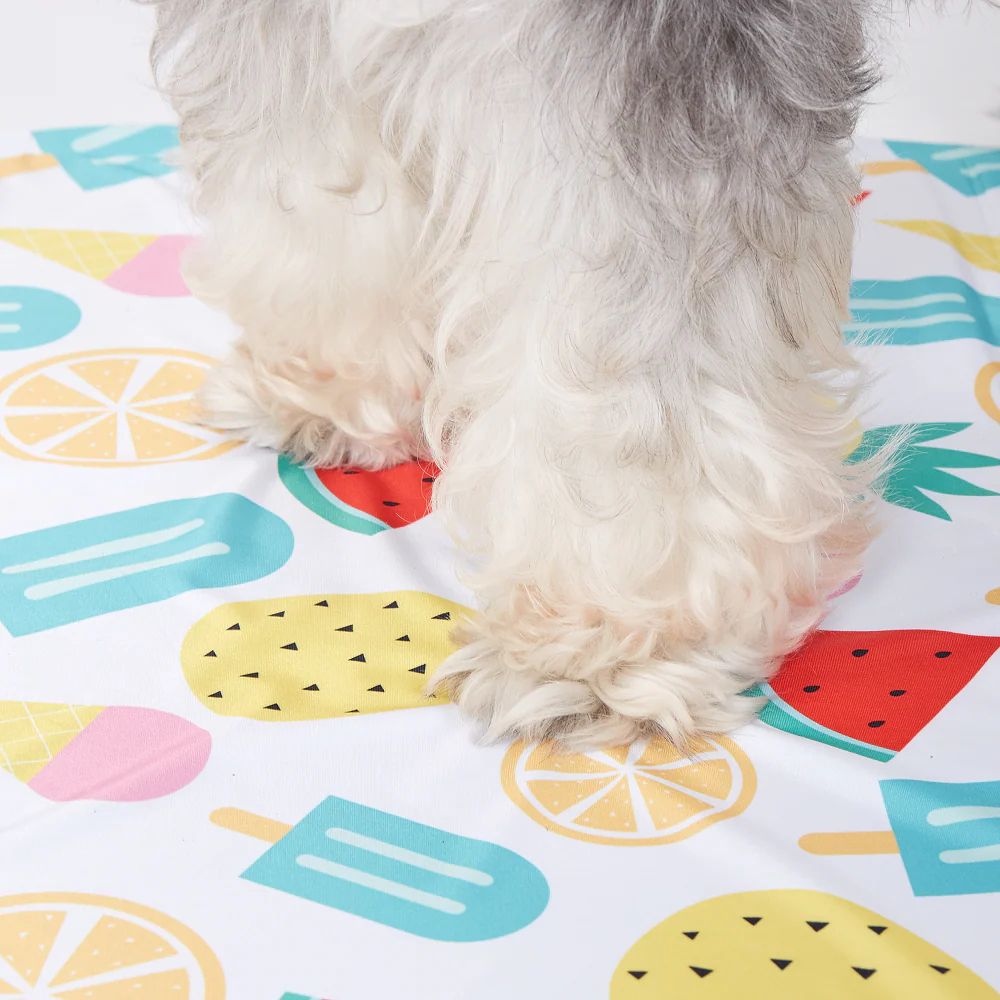 Fofos Fruits Cooling Mat for Dogs & Cats - Image 10