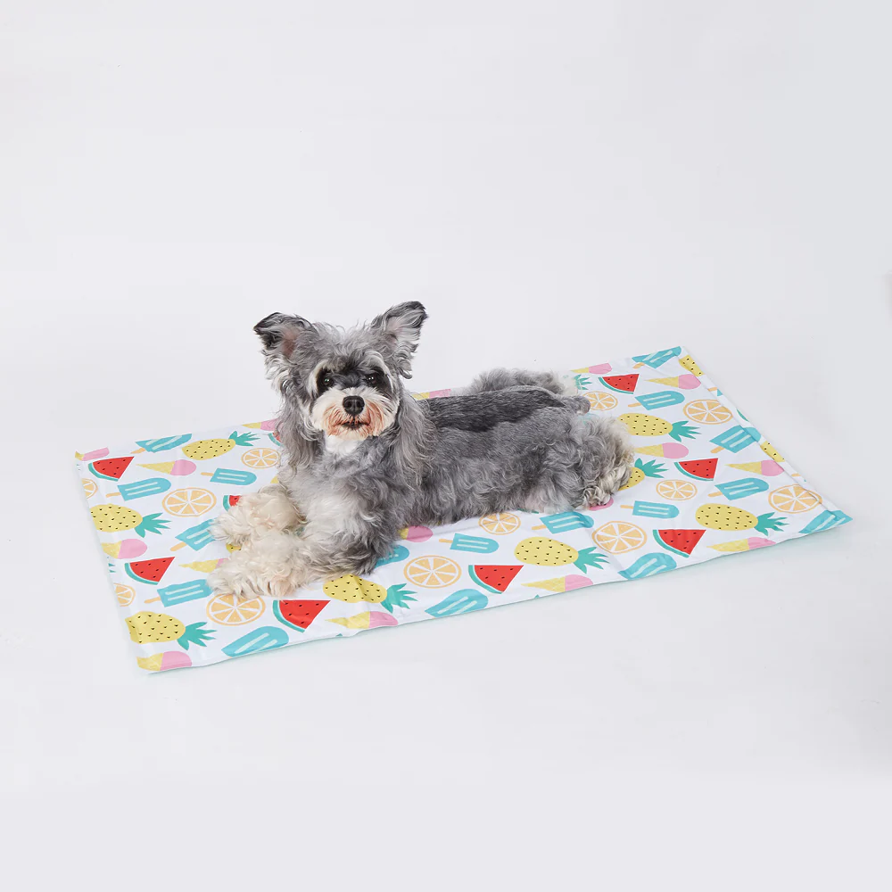 Fofos Fruits Cooling Mat for Dogs & Cats - Image 7