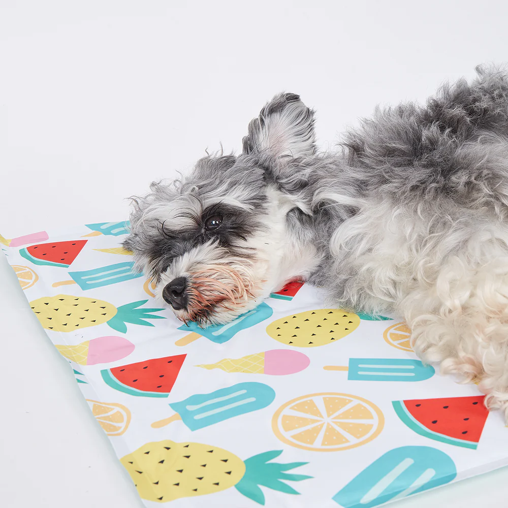 Fofos Fruits Cooling Mat for Dogs & Cats - Image 8
