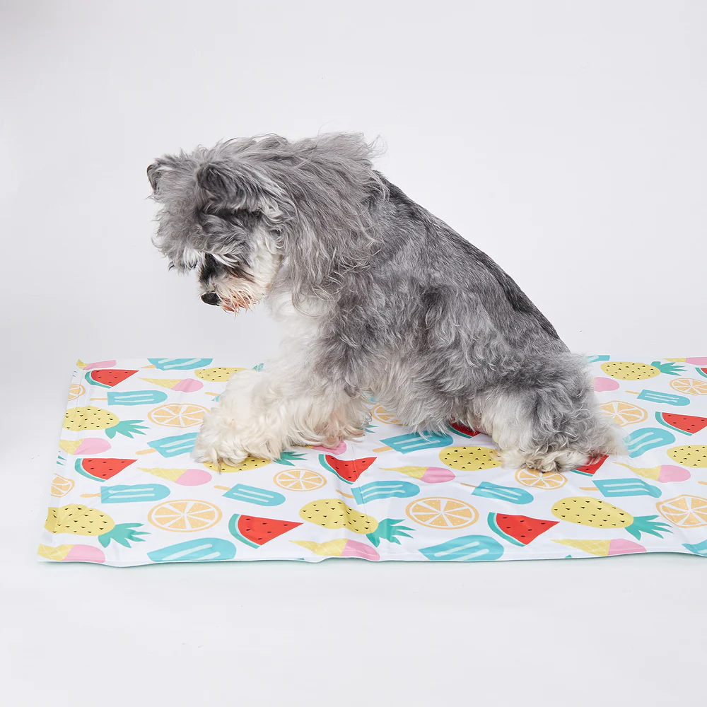 Fofos Fruits Cooling Mat for Dogs & Cats - Image 9