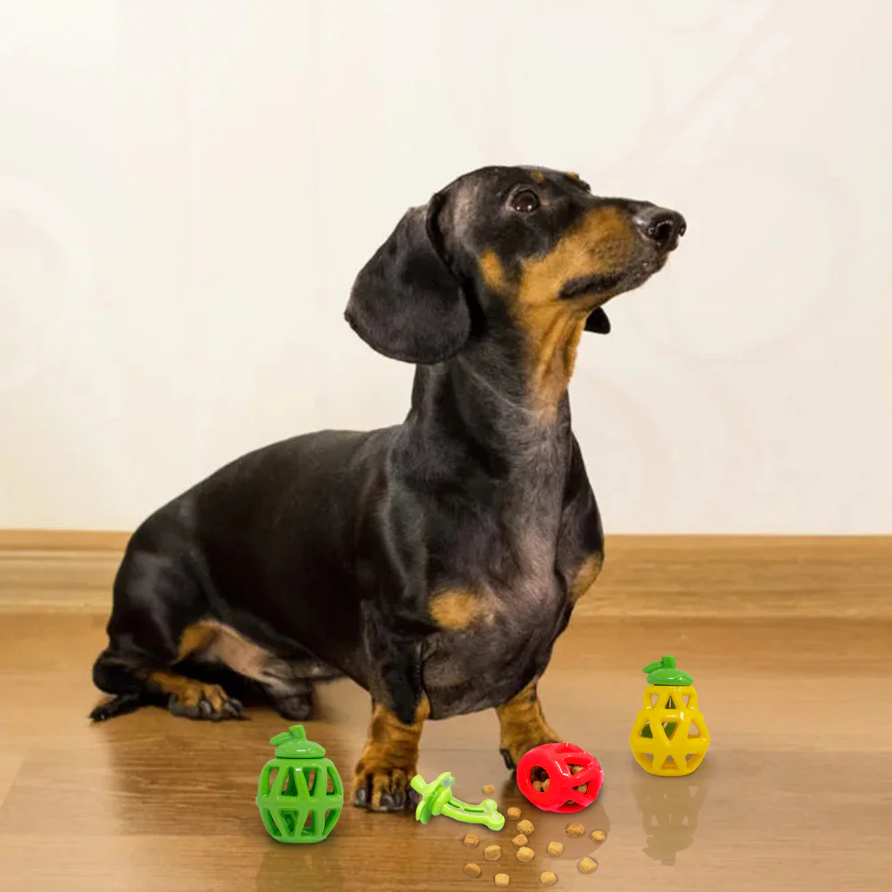 Barkbutler x Fofos Fruity Bites Treat Dispensing Strawberry Toy for Dogs - Image 9
