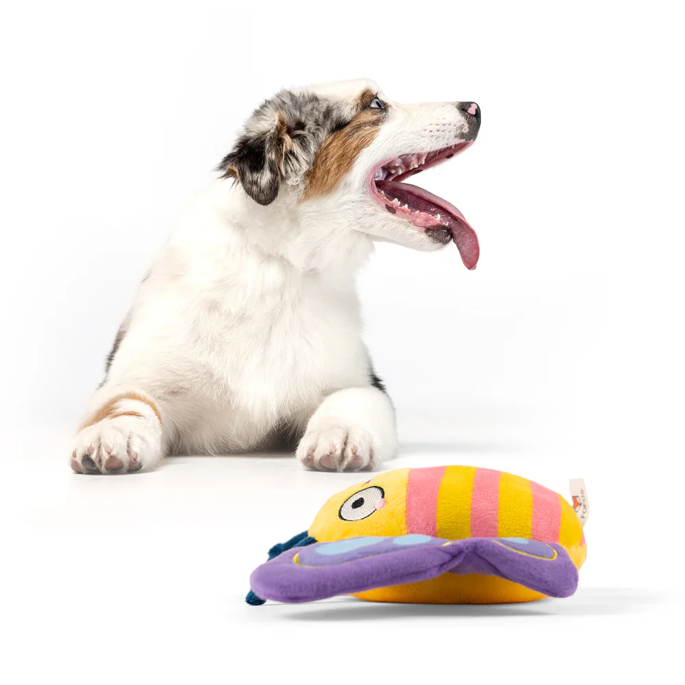 Barkbutler x Fofos Garden Butterfly Plush Toy for Dogs - Image 9