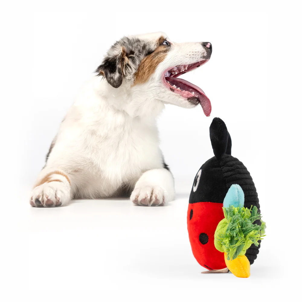 Barkbutler x Fofos Garden Ladybug Plush Toy for Dogs - Image 10