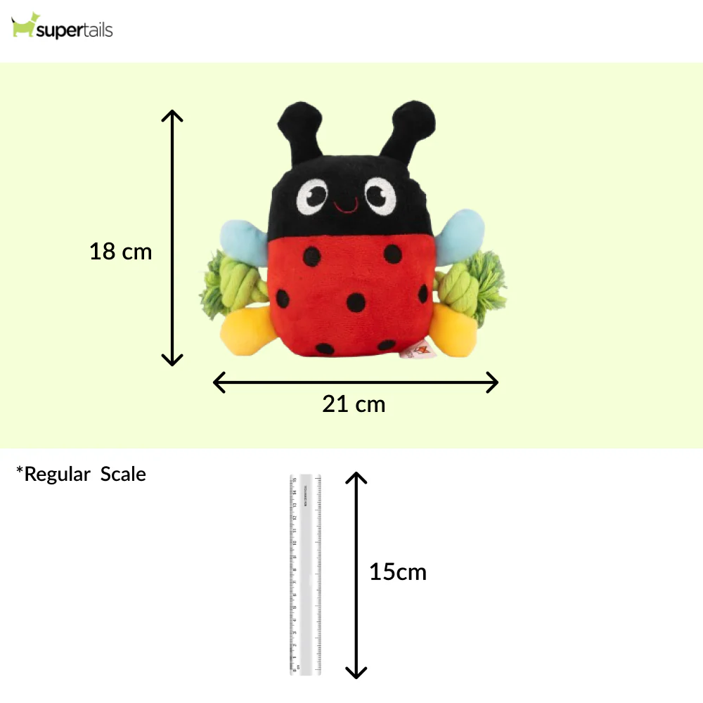 Barkbutler x Fofos Garden Ladybug Plush Toy for Dogs - Image 2