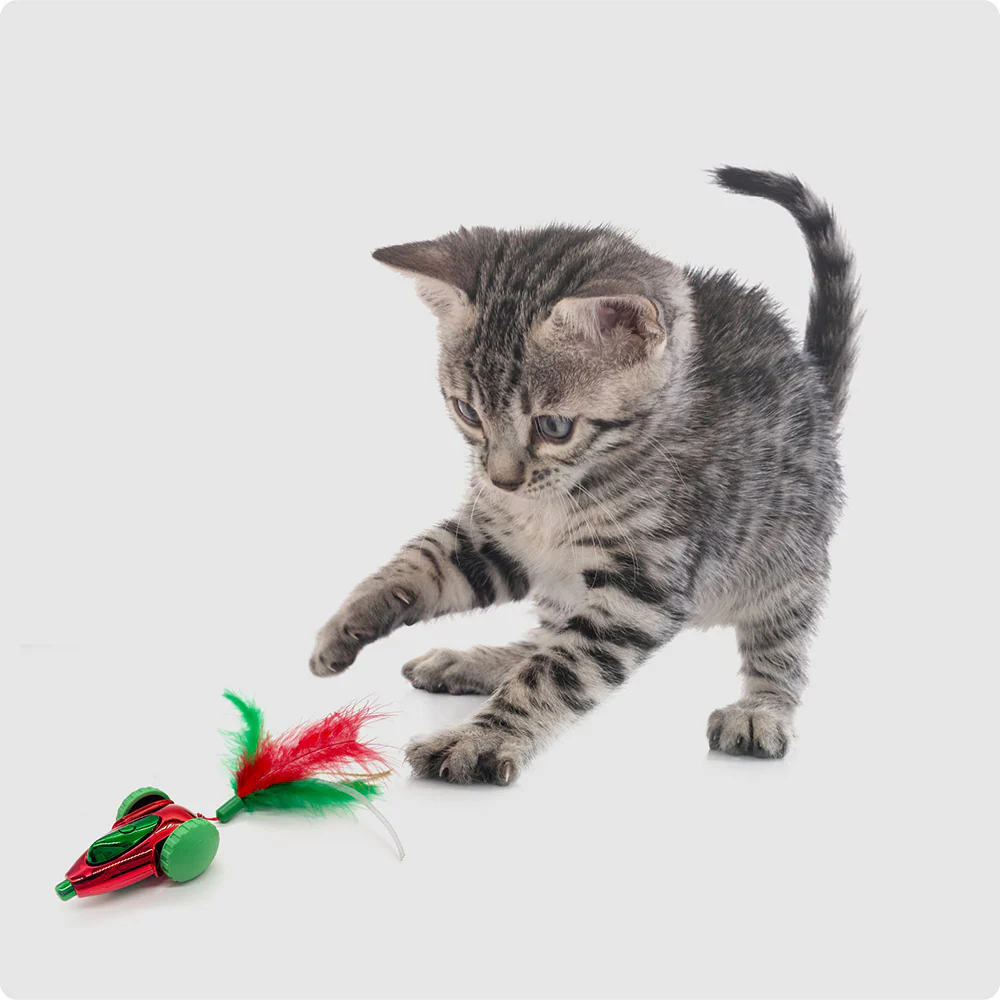Barkbutler x Fofos Holiday Interactive Car Toy for Cats (Red) - Image 8