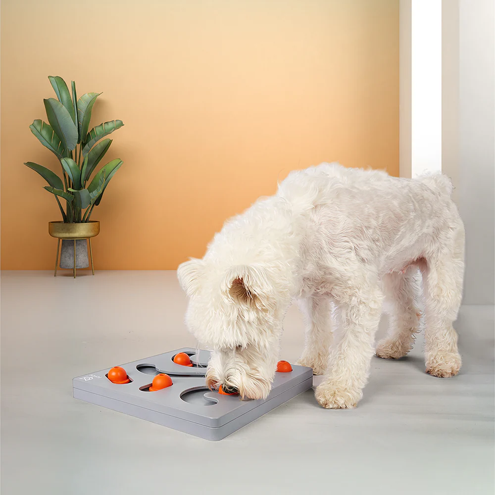 Barkbutler x Fofos Interactive Brain Game Puzzle Toy for Dogs - Image 5