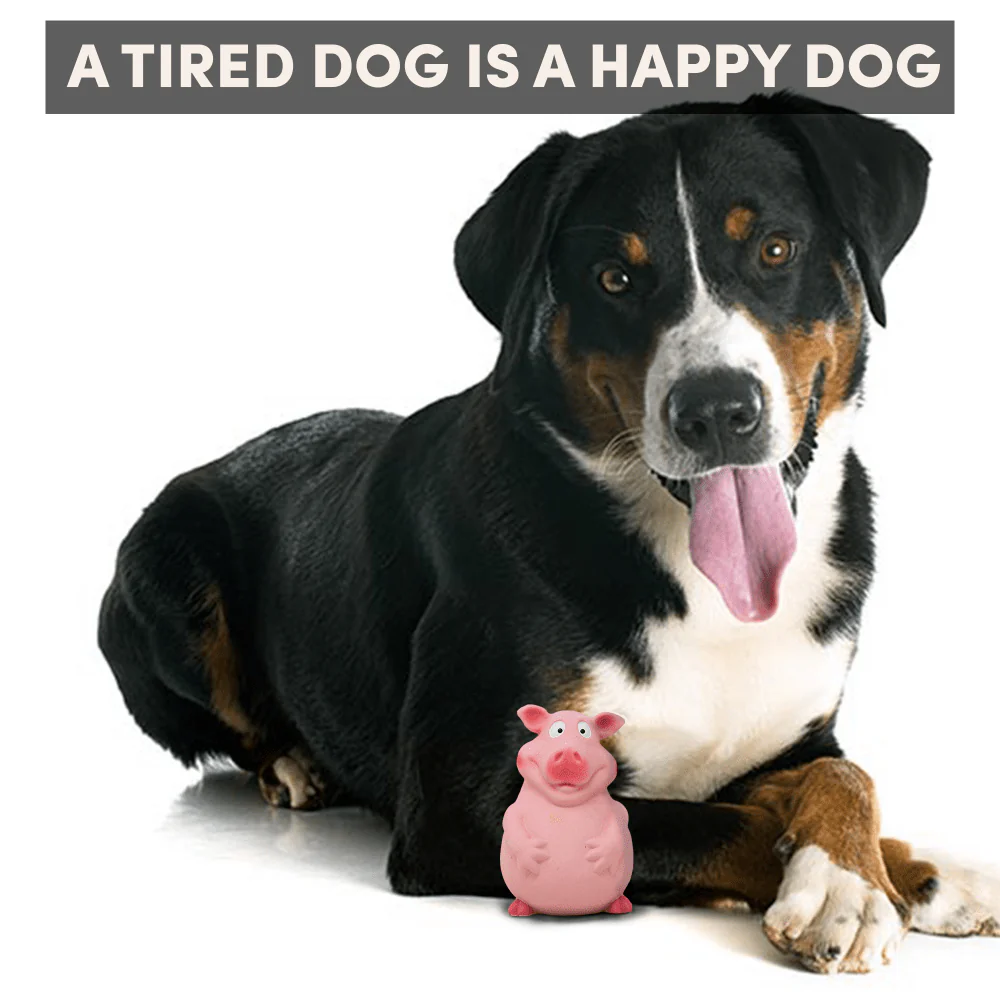 Barkbutler x Fofos Latex Bi Pig Toy for Dogs - Image 7