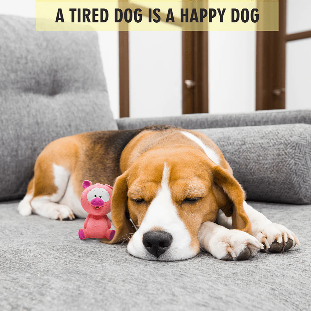 Barkbutler x Fofos Latex Bi Small Pig Toy for Dogs - Image 6