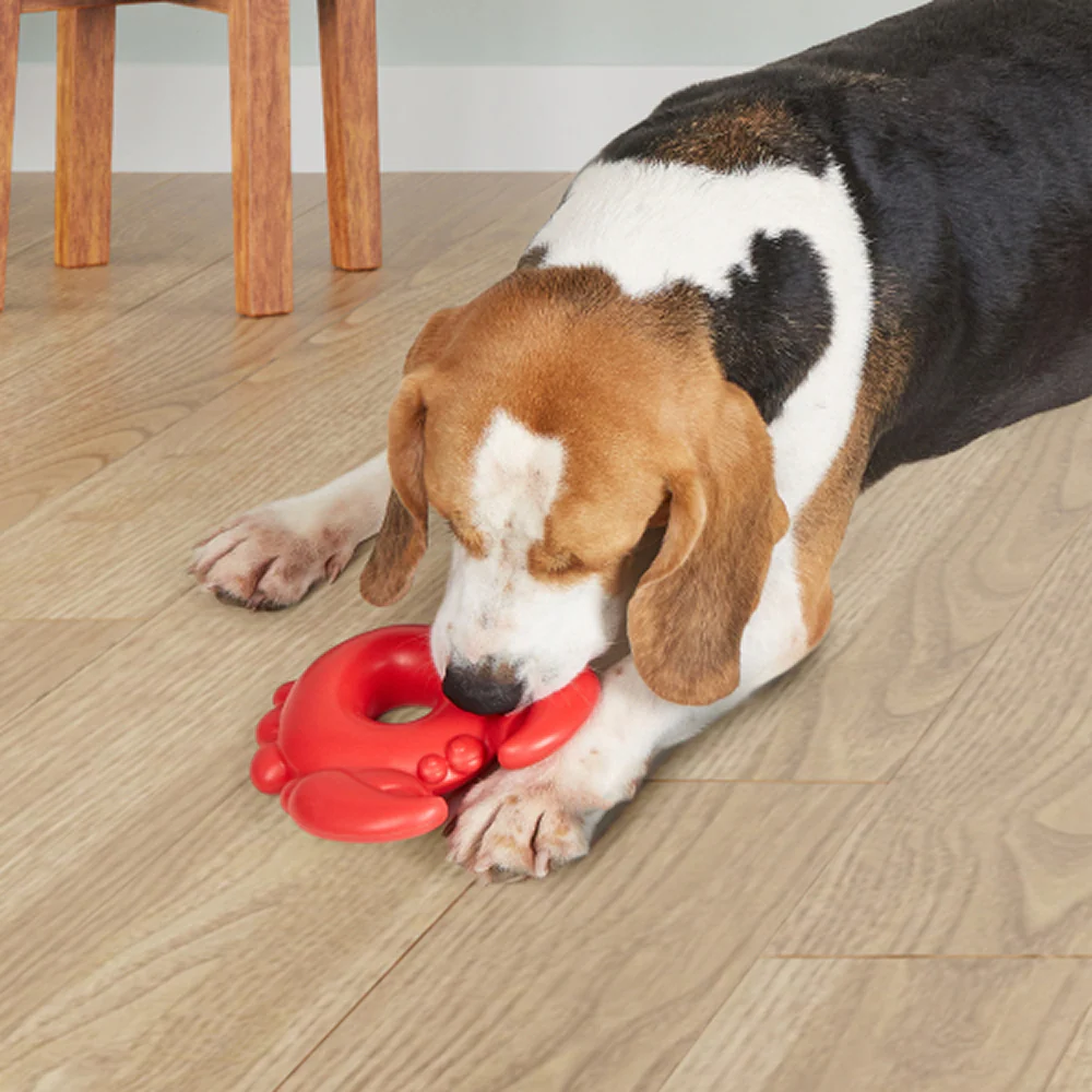 Barkbutler x Fofos Ocean Crab Squeaky Chew Toy for Dogs - Image 9