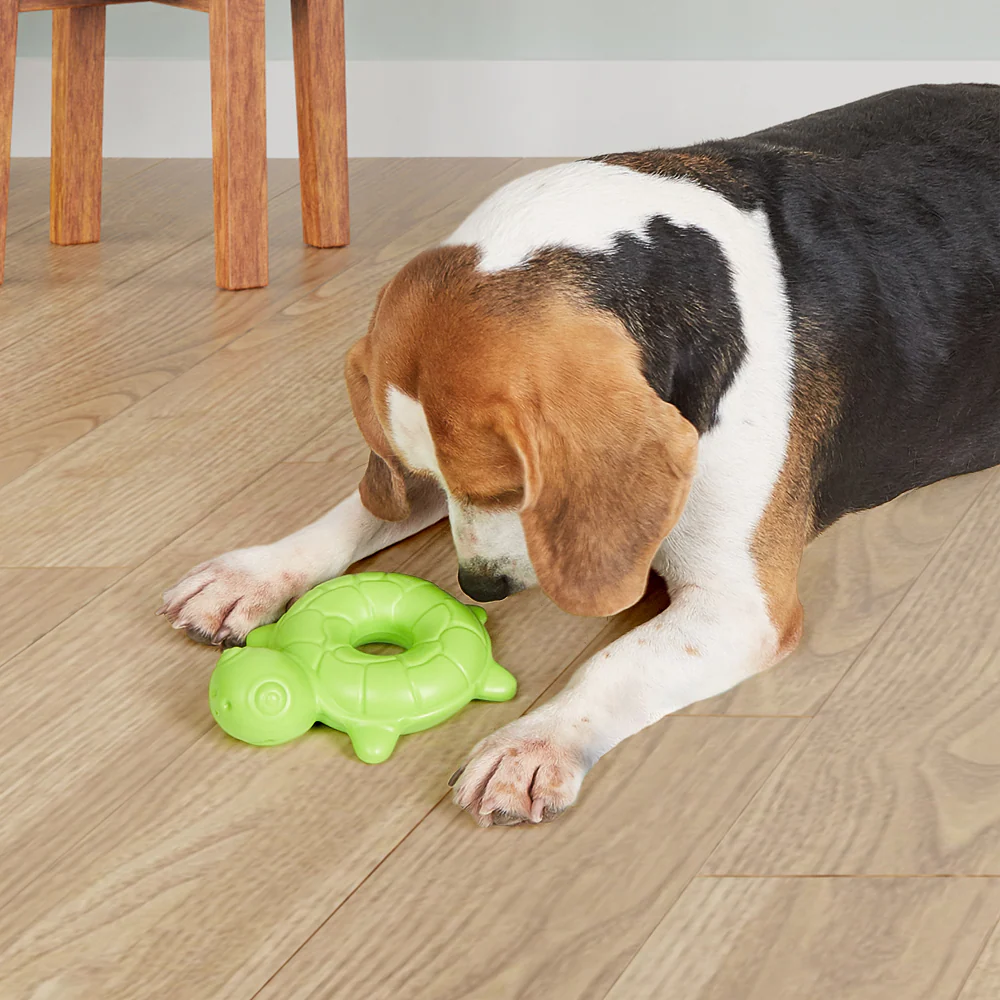 Barkbutler x Fofos Ocean Turtle Squeaky Chew Toy for Dogs - Image 8