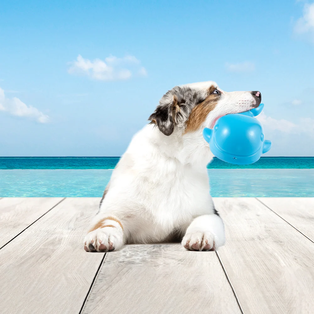 Barkbutler x Fofos Ocean Whale Squeaky Chew Toy for Dogs - Image 9