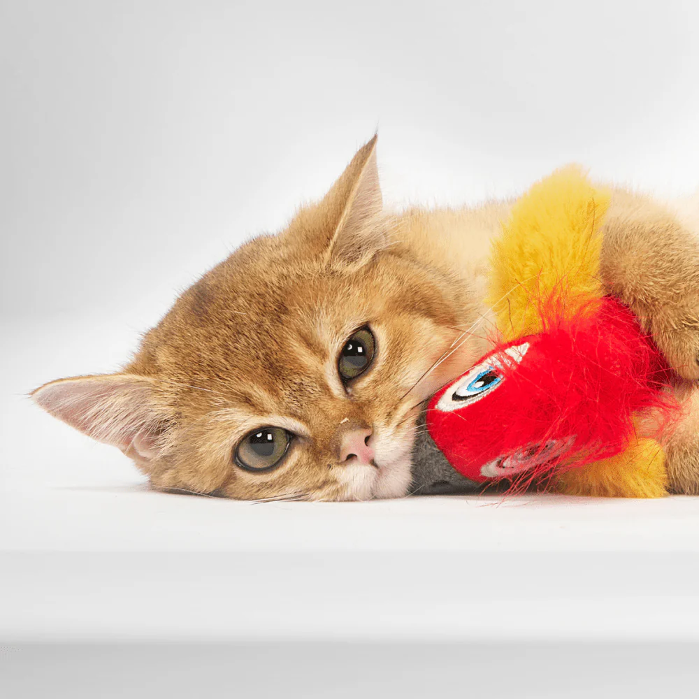 Barkbutler x Fofos Parrot with Catnip Balls Interactive Toy for Cats (Red) - Image 8
