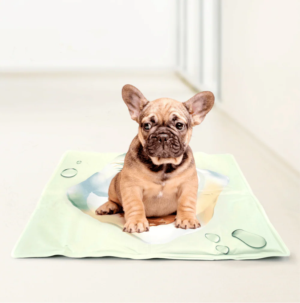 Barkbutler x Fofos Pineapple Cooling Mat for Dogs - Image 10