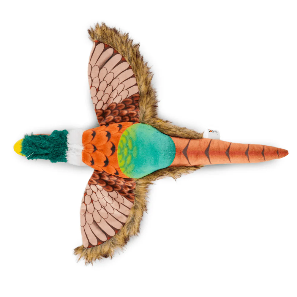 Barkbutler x Fofos Plush Pheasant Toy for Dogs | For Soft Chewers - Image 4