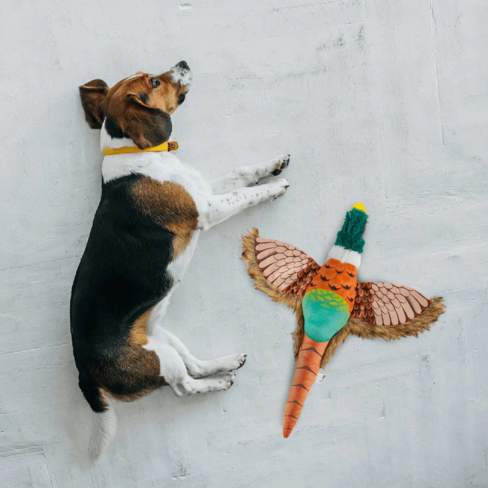 Barkbutler x Fofos Plush Pheasant Toy for Dogs | For Soft Chewers - Image 5