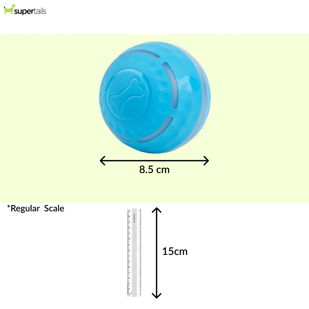 FOFOS Rechargeable Rolling Ball Smart Toy for Dogs - Image 2