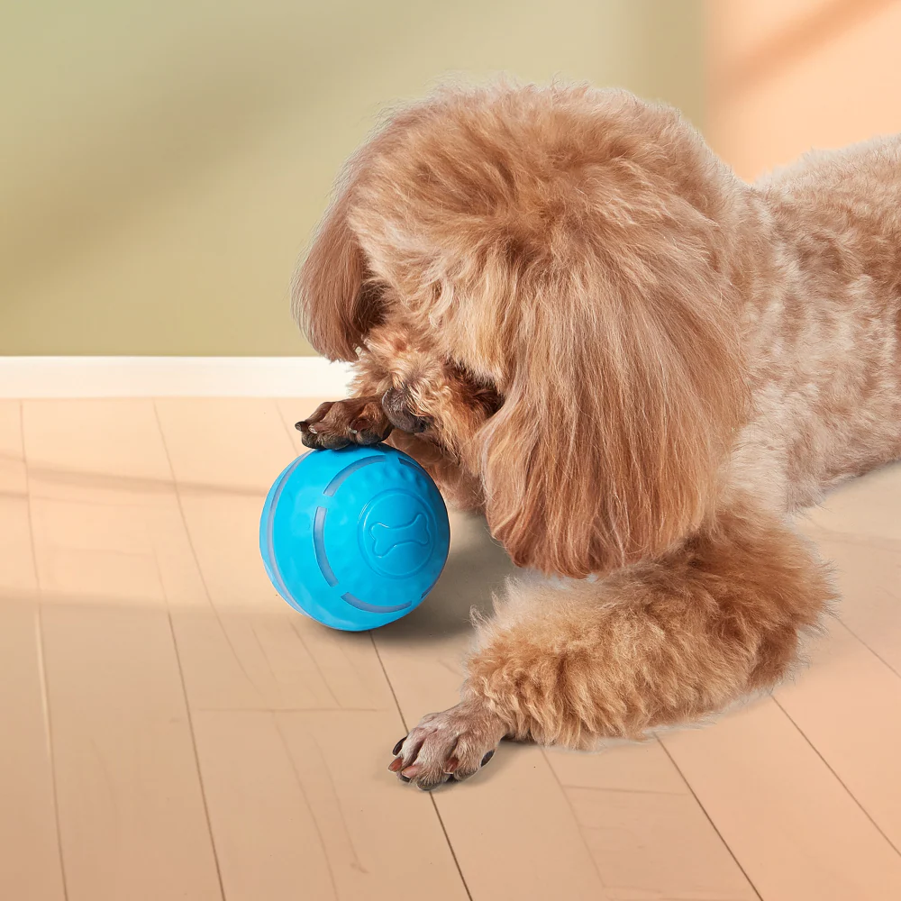 FOFOS Rechargeable Rolling Ball Smart Toy for Dogs - Image 7