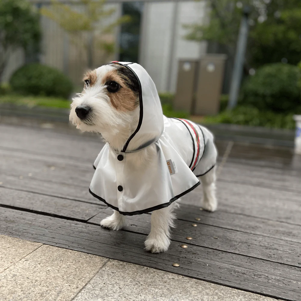 Barkbutler x Fofos Reflective Raincoat for Dogs - Image 5