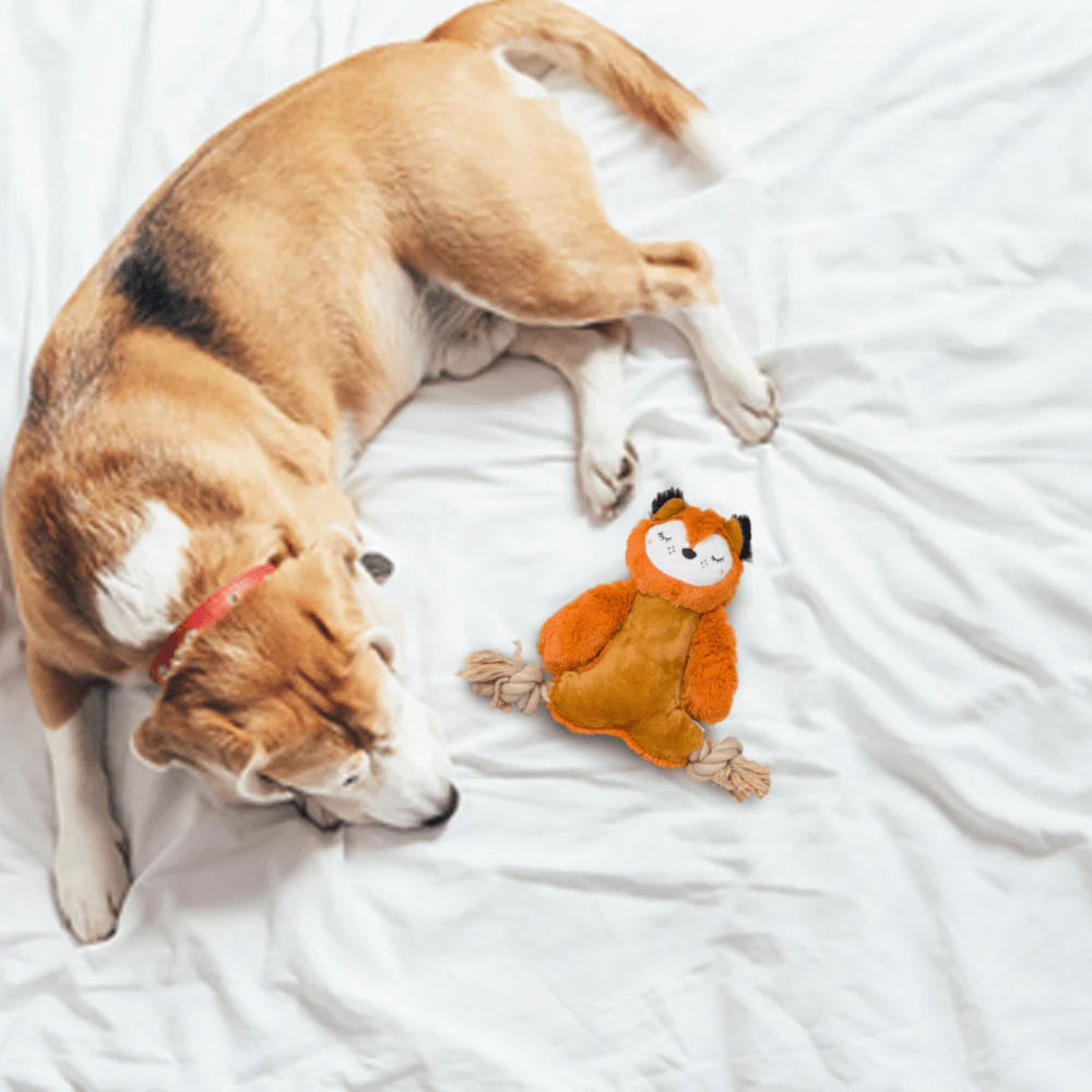 Barkbutler x Fofos Ropeleg Plush Bear Toy for Dogs | For Medium Chewers - Image 3