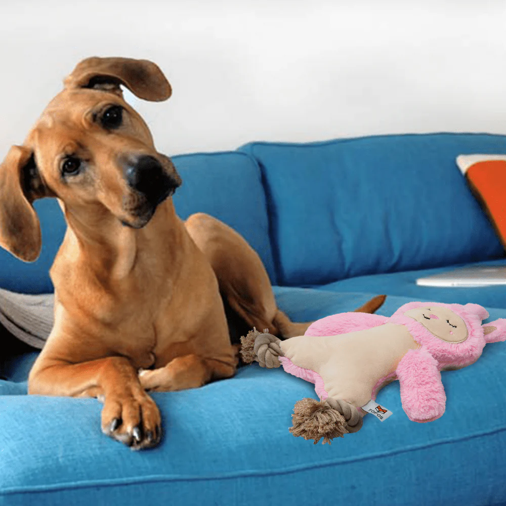 Barkbutler x Fofos Ropeleg plush Rabbit Toy for Dogs - Image 6