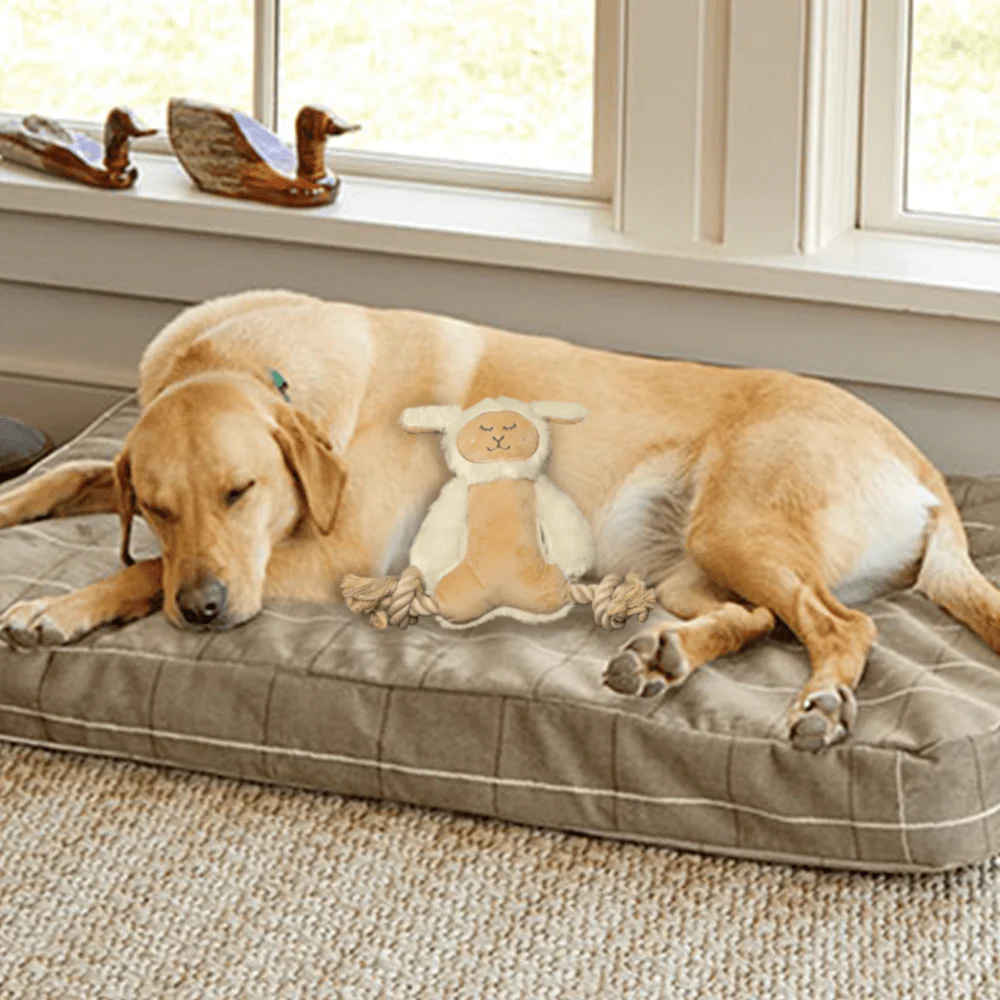 Barkbutler x Fofos Ropeleg Plush Sheep Toy for Dogs | For Medium Chewers (White) - Image 4