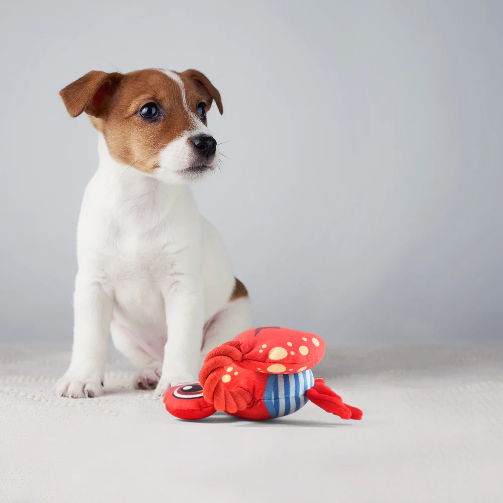 Barkbutler x Fofos Sealife Crab Plush Toy for Dogs - Image 7