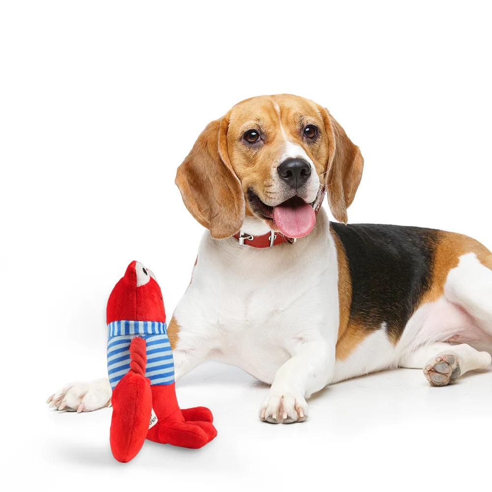 Barkbutler x Fofos Sealife Lobster Plush Toy for Dogs - Image 7