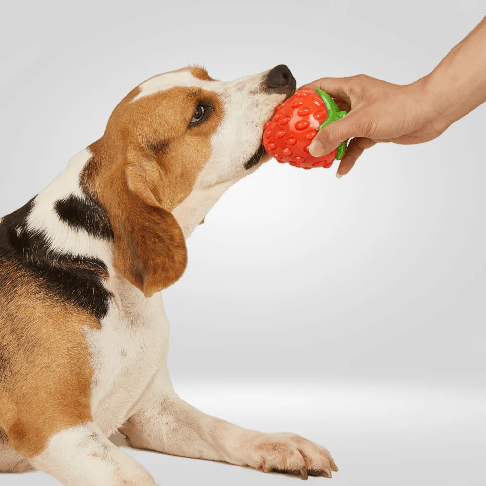 Barkbutler x Fofos Silence Strawberry Squeaky Chew Toy for Dogs - Image 6