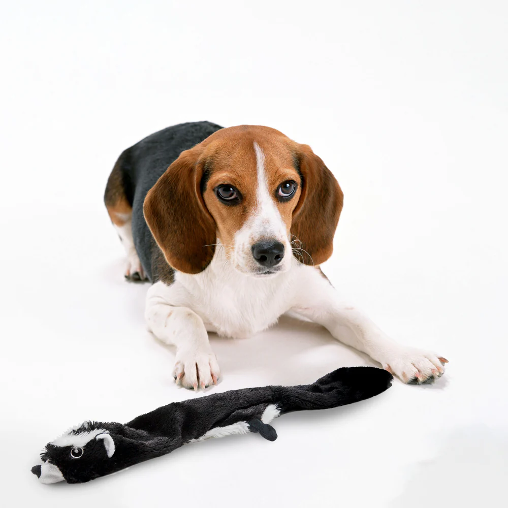 Barkbutler x Fofos Skinneez Skunk Toy for Dogs - Image 8