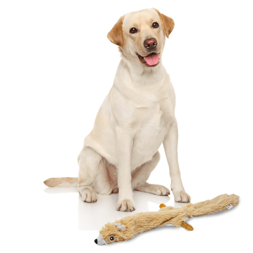 Barkbutler x Fofos Skinneez Squirrel Toy for Dogs (Brown) - Image 7