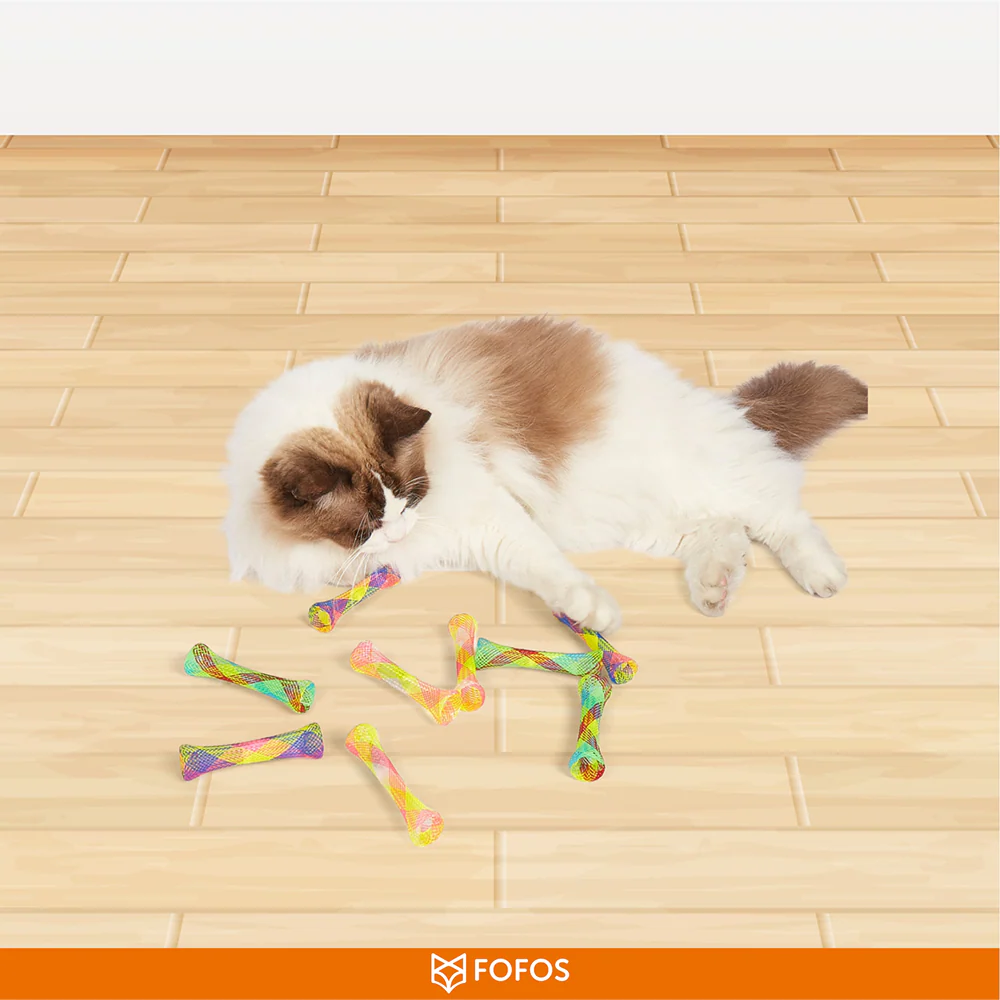 Barkbutler x Fofos Spring Tube Catnip Toy for Cats - Image 7