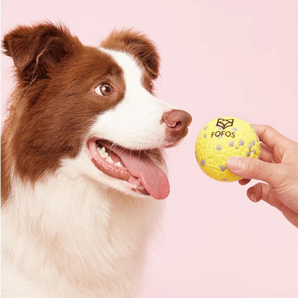 Barkbutler x Fofos Super Bounce Chew Ball for Dogs (Yellow) | For Aggressive Chewers - Image 7
