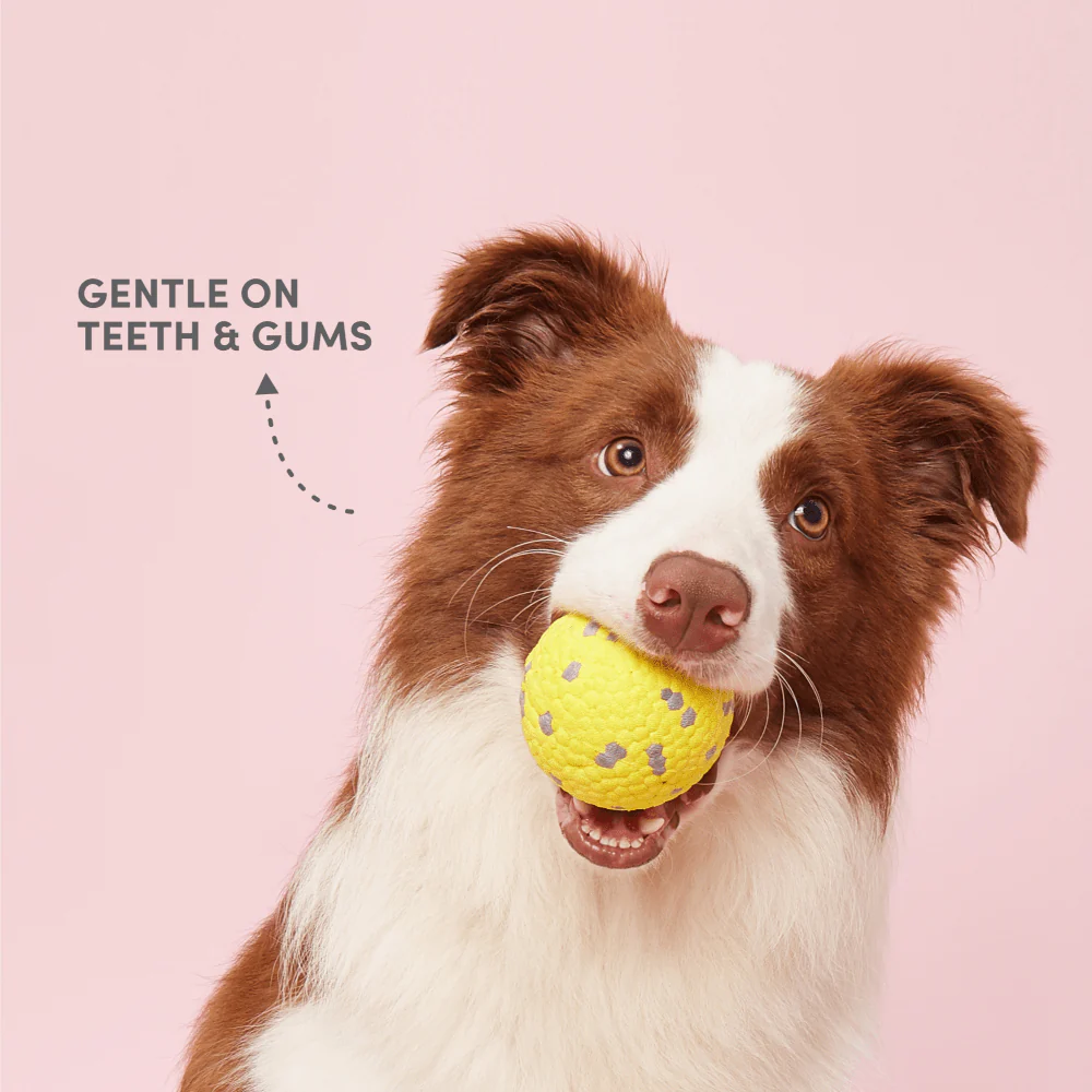 Barkbutler x Fofos Super Bounce Chew Ball for Dogs (Yellow) | For Aggressive Chewers - Image 8