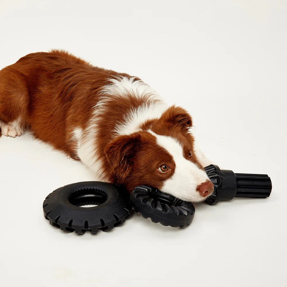 Barkbutler x Fofos Tyre Toy for Dogs - Image 8