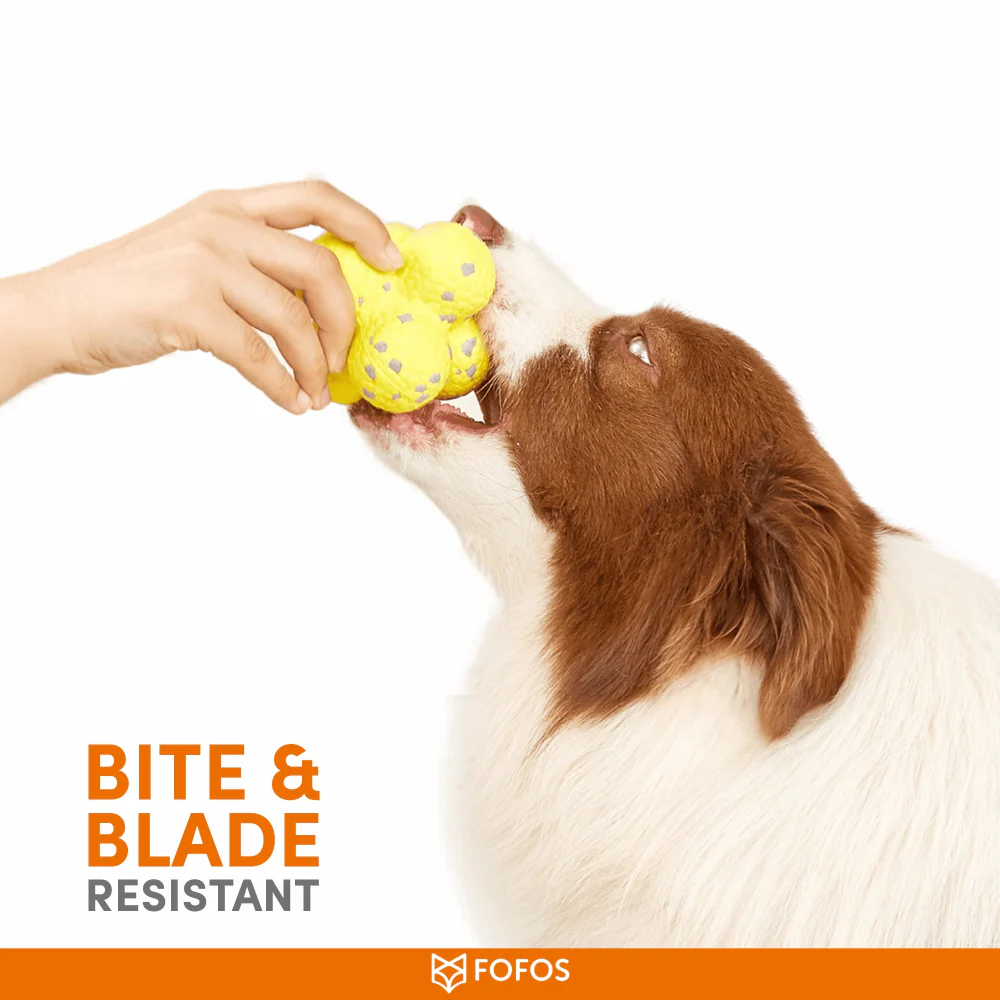 Barkbutler x Fofos Ultra Durable Ball Toy for Dogs (Yellow) - Image 3