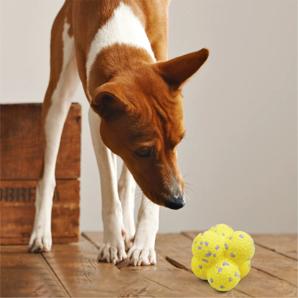 Barkbutler x Fofos Ultra Durable Ball Toy for Dogs (Yellow) - Image 8