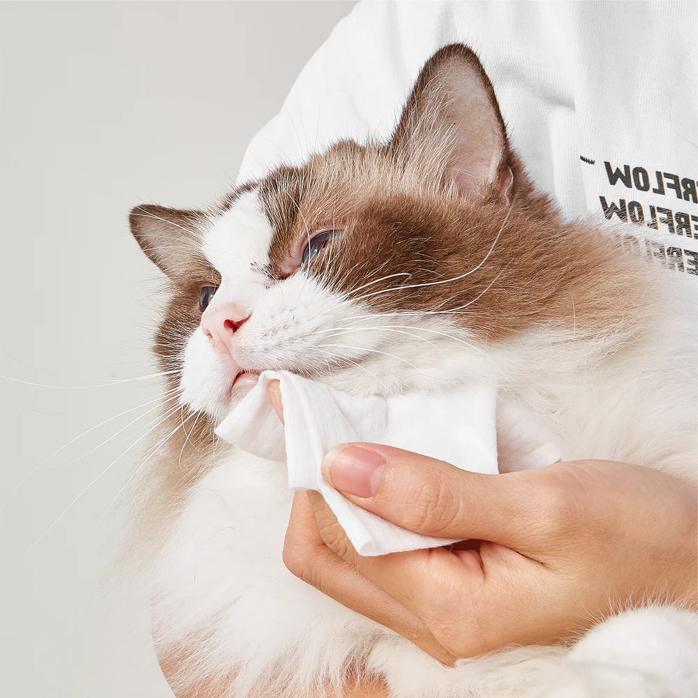 Fofos Unscented Cleaning Wipes for Dogs and Cats - Image 9