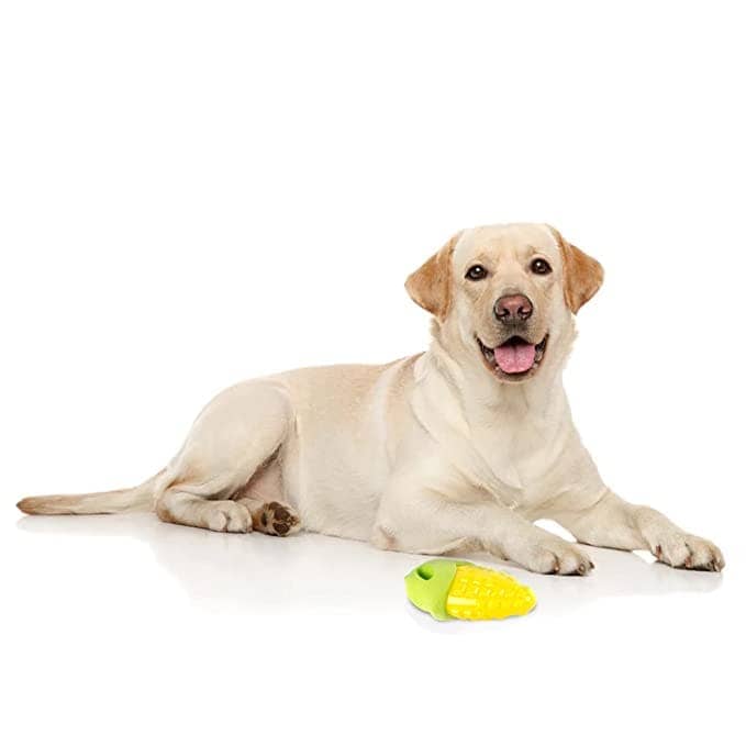 Barkbutler x Fofos Vegi Bites Corn Squeaky Toy for Dogs - Image 5