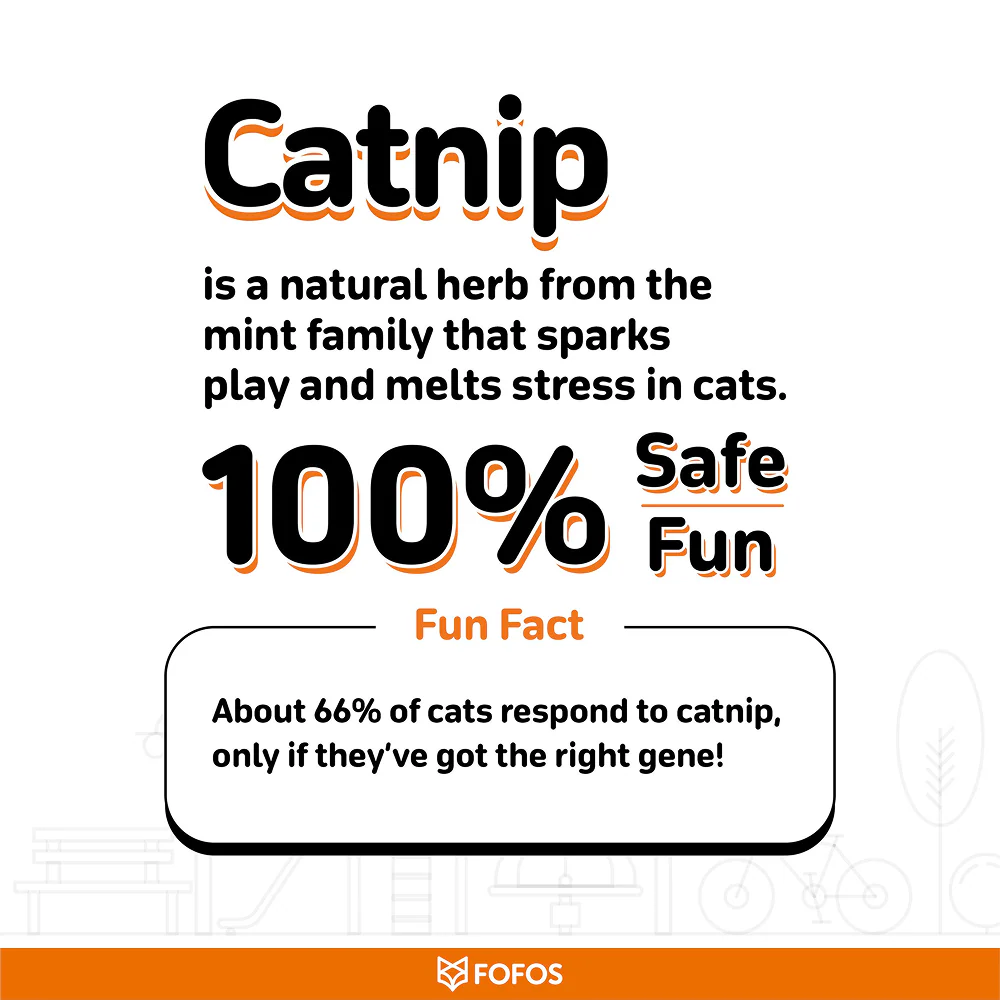 Fofos Wand Hungry Kittens Teaser Toy for Cats - Image 3
