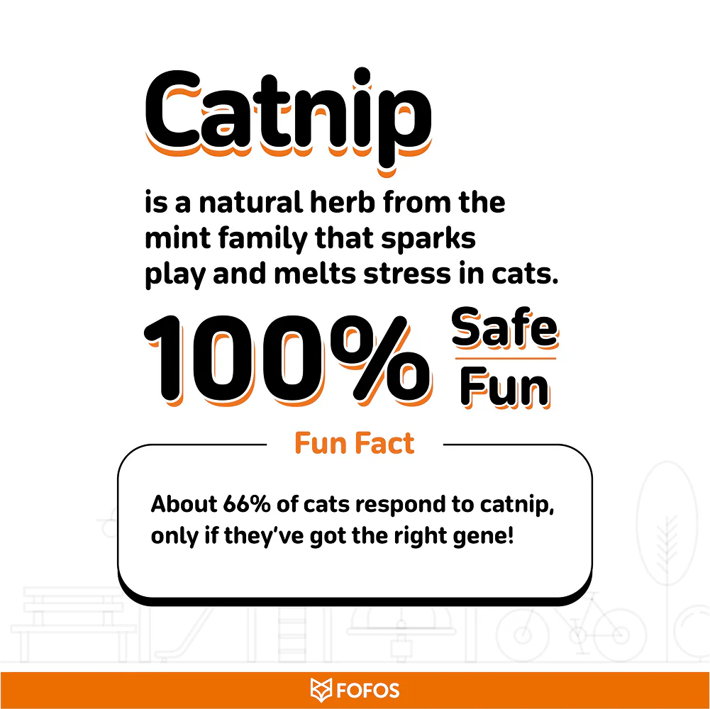 Fofos Wand Meow Fast Food Teaser Toy for Cats - Image 3