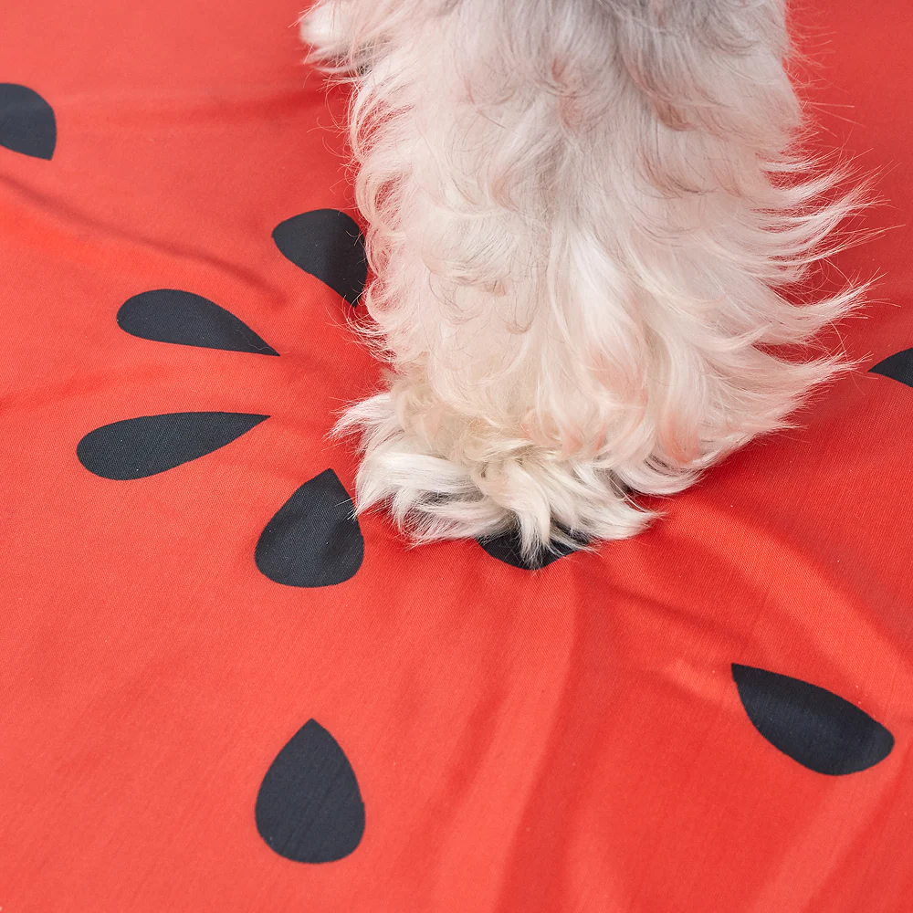 Fofos Watermelon Cooling Mat for Dogs & Cats (Green/Red) - Image 14