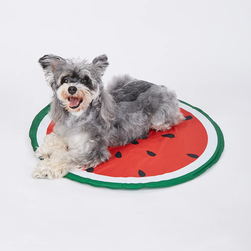 Fofos Watermelon Cooling Mat for Dogs & Cats (Green/Red) - Image 15