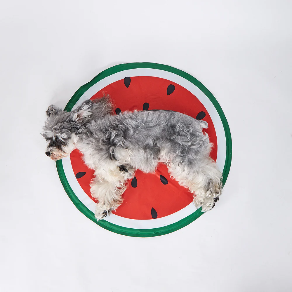 Fofos Watermelon Cooling Mat for Dogs & Cats (Green/Red) - Image 5