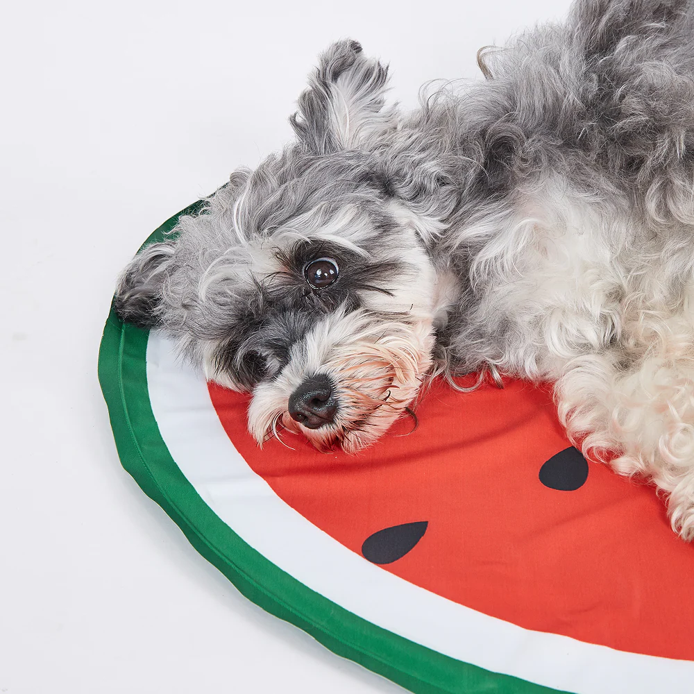 Fofos Watermelon Cooling Mat for Dogs & Cats (Green/Red) - Image 6