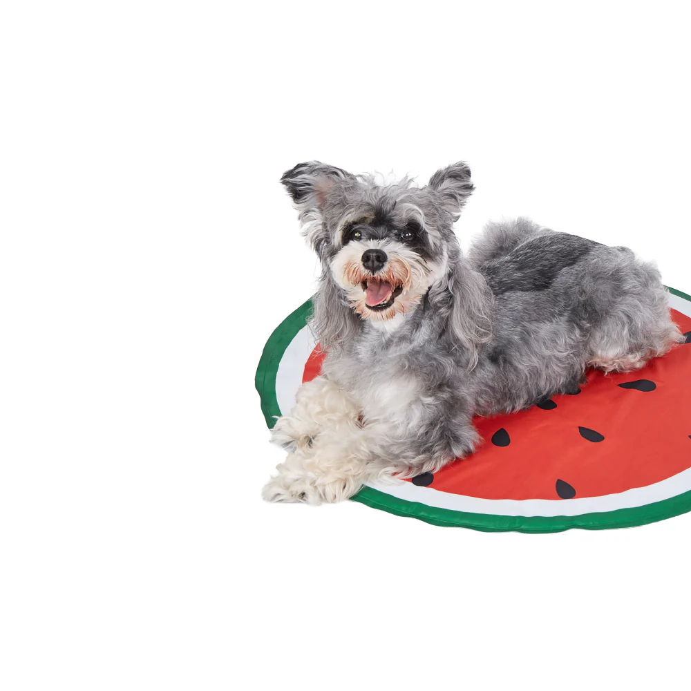 Fofos Watermelon Cooling Mat for Dogs & Cats (Green/Red) - Image 7