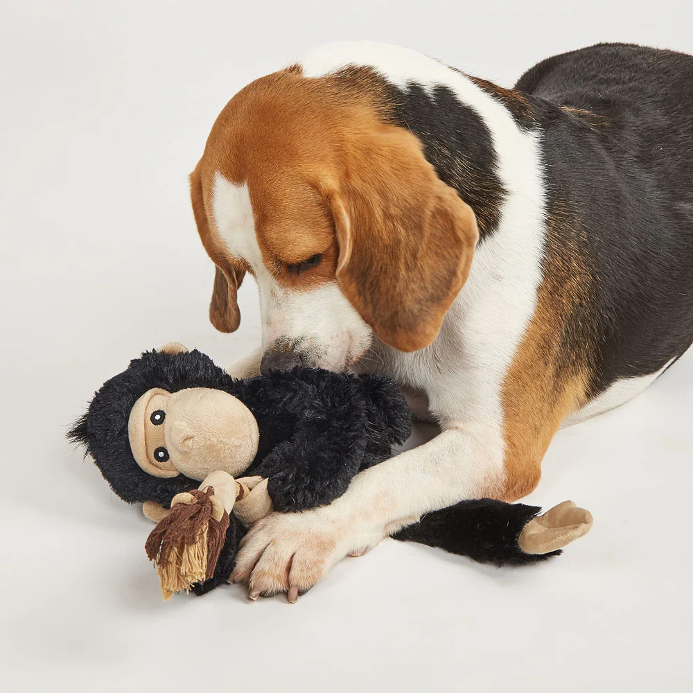 Barkbutler x Fofos Wildlife Gorilla Plush Toy for Dogs - Image 8