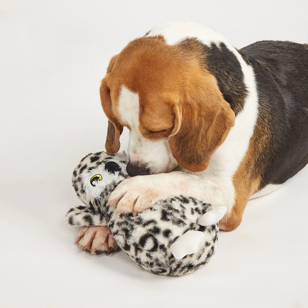 Barkbutler x Fofos Wildlife Owl Plush Toy for Dogs - Image 8