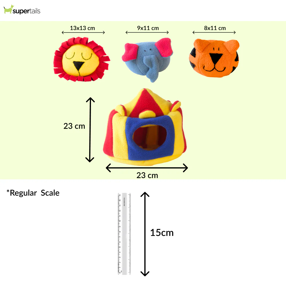 For The Love Of Dog Hide and Seek Squeaky Circus Toy for Dogs - Image 2