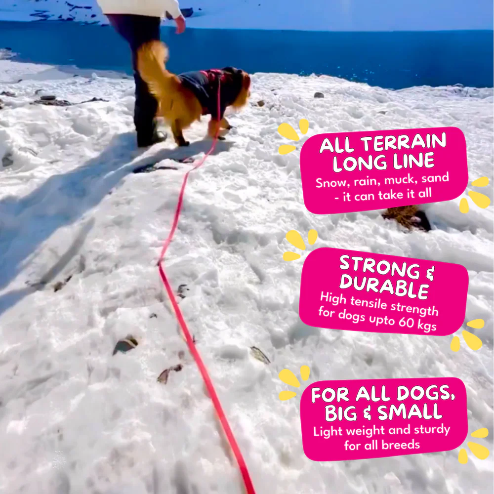 For The Love Of Dog Long Line Reflective Strip Leash for Dogs (Neon Orange) - Image 4