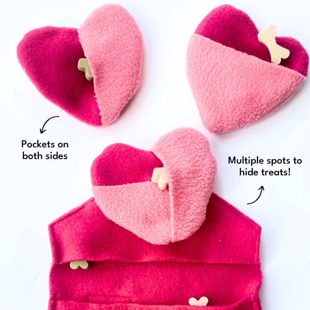For The Love Of Dog Love Letter Toy for Dogs (Pink) - Image 3